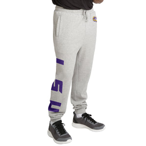 LSU Tigers NCAA Mens Gray Woven Joggers