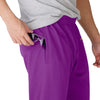 Minnesota Vikings NFL Mens Team Color Joggers