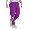 Minnesota Vikings NFL Mens Team Color Joggers