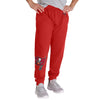 Tampa Bay Buccaneers NFL Mens Team Color Joggers