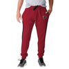 Atlanta Falcons NFL Mens Team Stripe Joggers