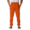 Cleveland Browns NFL Mens Team Stripe Joggers