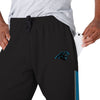 Carolina Panthers NFL Mens Team Stripe Joggers