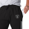 Las Vegas Raiders NFL Mens Team Stripe Joggers