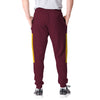 Washington Commanders NFL Mens Team Stripe Joggers