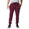 Washington Commanders NFL Mens Team Stripe Joggers