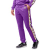 Minnesota Vikings NFL Mens Stripe Logo Track Pants