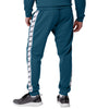 Philadelphia Eagles NFL Mens Stripe Logo Track Pants