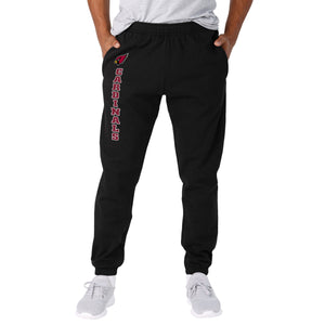 Arizona Cardinals NFL Mens Team Color Sweatpants