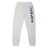 Indianapolis Colts NFL Mens Team Color Sweatpants