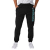 Philadelphia Eagles NFL Mens Team Color Sweatpants