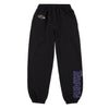 Baltimore Ravens NFL Womens Script Wordmark Team Color Sweatpants