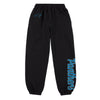 Carolina Panthers NFL Womens Script Wordmark Team Color Sweatpants