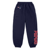 New England Patriots NFL Womens Script Wordmark Team Color Sweatpants