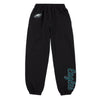 Philadelphia Eagles NFL Womens Script Wordmark Team Color Sweatpants