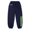 Seattle Seahawks NFL Womens Script Wordmark Team Color Sweatpants