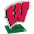 Wisconsin Badgers NCAA BRXLZ Logo