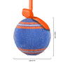 Boise State Broncos NCAA LED Shatterproof Ball Ornament