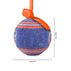 Florida Gators NCAA LED Shatterproof Ball Ornament