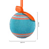 Miami Dolphins NFL LED Shatterproof Ball Ornament