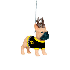 Iowa Hawkeyes NCAA French Bulldog Wearing Sweater Ornament