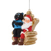 Carolina Panthers NFL Sir Purr Mascot on Santas Lap Ornament