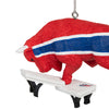 Buffalo Bills NFL 2 Pack Thematic Ornament Set