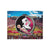 Florida State Seminoles NCAA Canvas Wall Sign