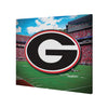 Georgia Bulldags NCAA Canvas Wall Sign