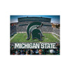 Michigan State Spartans NCAA Canvas Wall Sign