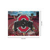 Ohio State Buckeyes NCAA Canvas Wall Sign