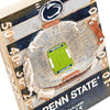 Penn State Nittany Lions NCAA Beaver Stadium Wall Plaque