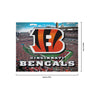 Cincinnati Bengals NFL Canvas Wall Sign