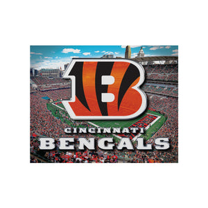 Cincinnati Bengals NFL Canvas Wall Sign