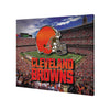 Cleveland Browns NFL Canvas Wall Sign