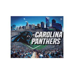 Carolina Panthers NFL Canvas Wall Sign