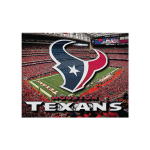 Houston Texans NFL Canvas Wall Sign