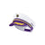 Minnesota Vikings NFL Captains Hat