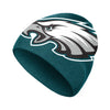 NFL Big logo Skullcap Beanie- Pick Team