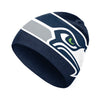 NFL Big logo Skullcap Beanie- Pick Team