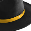 Pittsburgh Steelers NFL Team Color Fedora