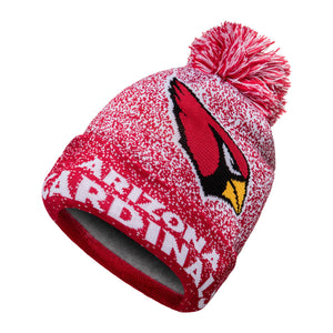 Arizona Cardinals NFL Matrix Beanie