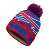 NFL Team Logo Matrix Beanies - Pick Your Team!