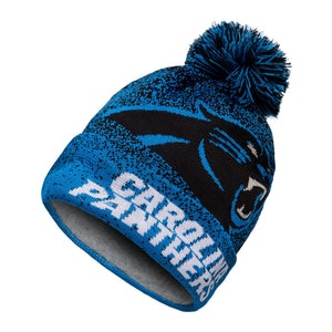 Carolina Panthers NFL Matrix Beanie