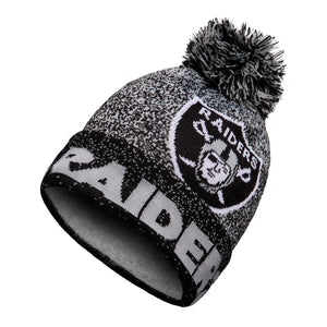 Las Vegas Raiders NFL Matrix Beanie