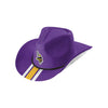 Minnesota Vikings NFL Team Stripe Cowboy Hat