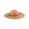 Cleveland Browns NFL Womens Wordmark Beach Straw Hat