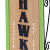 Seattle Seahawks NFL Light Up Sled