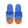 Florida Gators NCAA Mens Logo Staycation Slippers