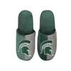 Michigan State Spartans NCAA Mens Logo Staycation Slippers